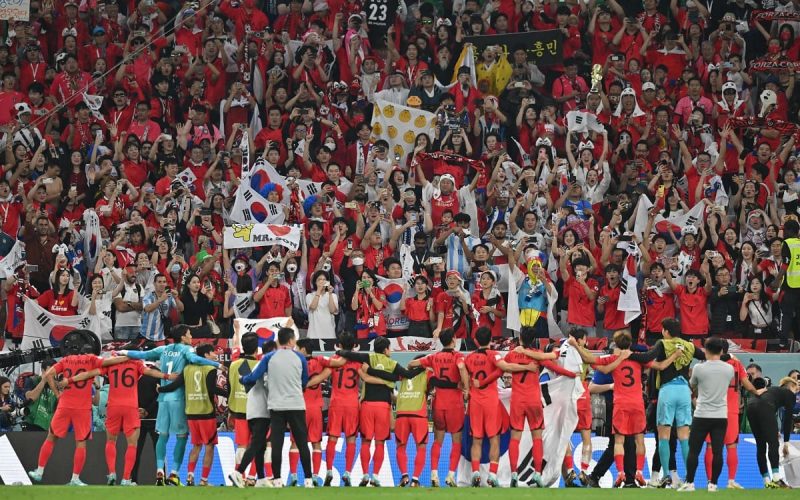 🏆 Coppa d’Asia, iniziano le semifinali. Oggi Corea del Sud-Giordania, domani Iran-Qatar