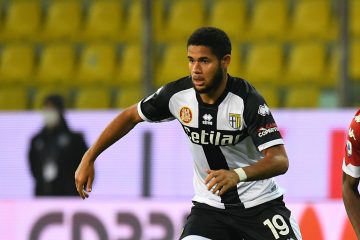 🎙️ Fiorentina, Sohm: “È un momento difficile, ora dobbiamo solo vincere”