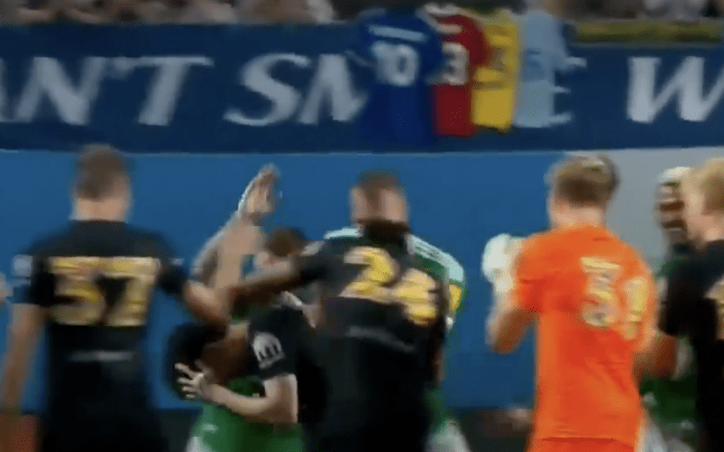 📹 Son protagonista di un siparietto 😂 durante Newcastle e Tottenham