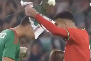 🌹 Palestina, iniziativa 😢: calciatori in campo con una rosa! Numeri 🔥 per i Paesi Baschi al San Mamés