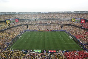 🤑 La FIFA mette in vendita il prato della finale dei Mondiali: le cifre sono 🤯