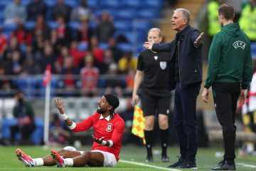 😍 Il Genoa pensa in grande: piace Sorba Thomas dello Stoke City